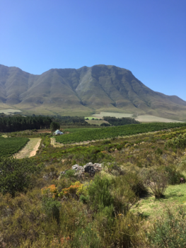 Kaapstad - Hemel op aarde