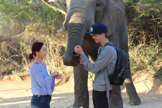 Rondreis van Johannesburg naar Kaapstad - Fantastische ontmoeting met Timbo