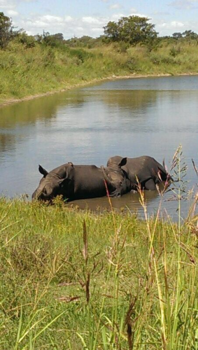 Krugerpark - Warm he