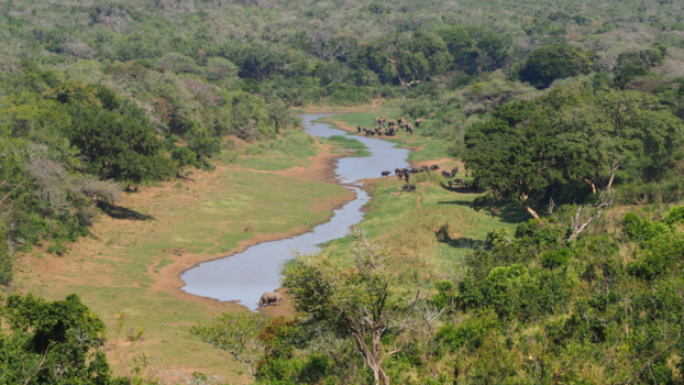 Rondreis van Johannesburg naar Kaapstad - 3 van de 5