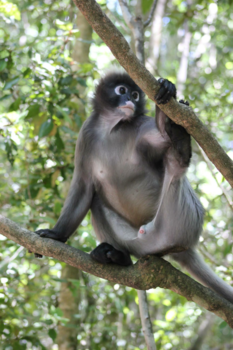Rondreis Zuid-Afrika in drie weken - Doe maar gewoon hihi