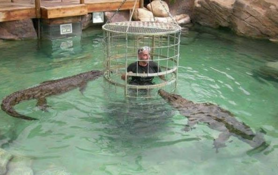 Rondreis Zuid-Afrika in drie weken - Wie durft