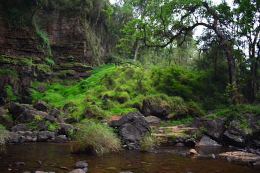 Rondreis Zuid-Afrika in drie weken - Panorama route Zuid-Afrika