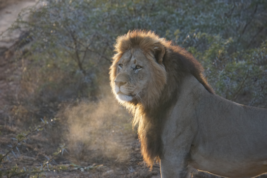 Rondreis Zuid-Afrika in drie weken - Sundaymorning in South Africa