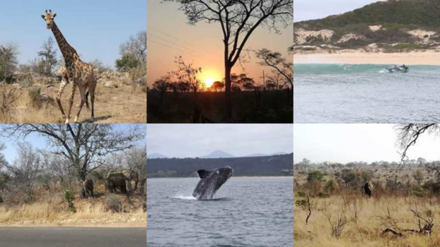 Rondreis van Johannesburg naar Kaapstad - Vakantie zuid Afrika