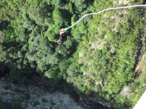 Tsitsikamma National Park - I believe I can fly !