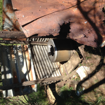 Rondreis van Johannesburg naar Kaapstad - Even naar het toilet?