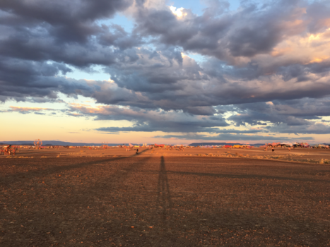 Karoo National Park - Lonelyness