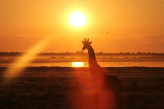 Rondreis van Johannesburg naar Kaapstad - Afrika JW