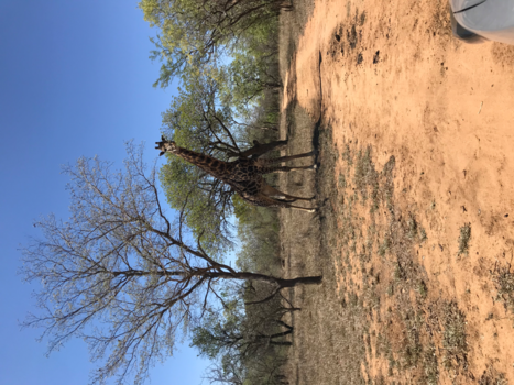 Rondreis van Johannesburg naar Kaapstad - Daar sta je dan..