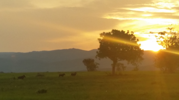 Rondreis van Johannesburg naar Kaapstad - Sunset