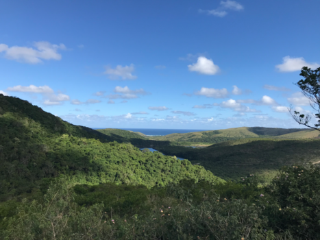 Rondreis van Johannesburg naar Kaapstad - Coffebay