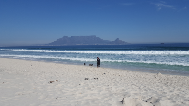 Kaapstad - Tableview