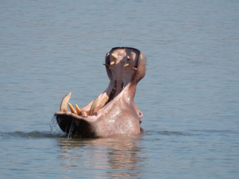 Rondreis van Johannesburg naar Kaapstad - Hoe ik er uit zie als ik moe ben