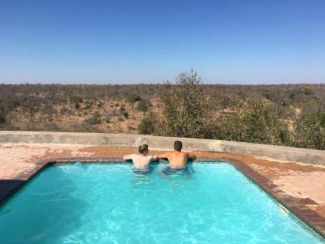 Rondreis van Johannesburg naar Kaapstad - Black and white genieten van de Afrikaanse wildernis