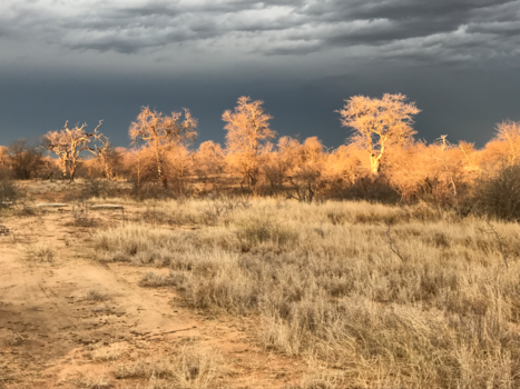 Rondreis van Johannesburg naar Kaapstad - Na regen komt zonneschijn