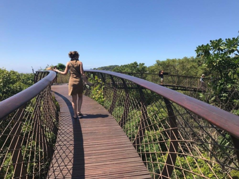 Kaapstad - Bijzondere ervaring: Boomslang Kirstenbosch Nationale Botanische Tuin