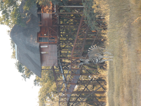 Rondreis van Johannesburg naar Kaapstad - Het echte Afrika van dichtbij meemaken