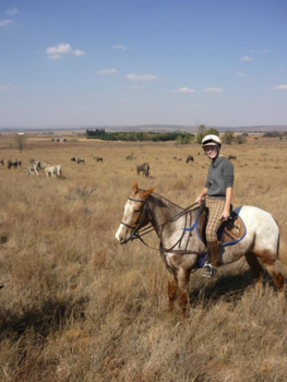 Kaapstad - Beautiful South Africa