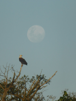 Rondreis van Johannesburg naar Kaapstad