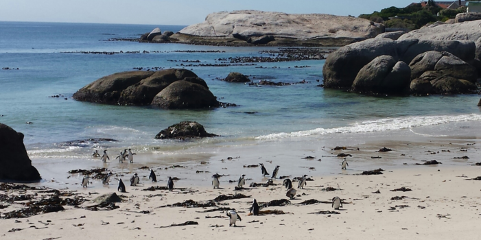 Boulders Beach - Overzicht strand