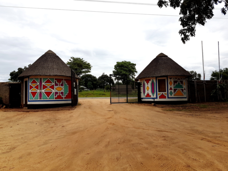 Rondreis van Johannesburg naar Kaapstad - Afrika-Timbavati