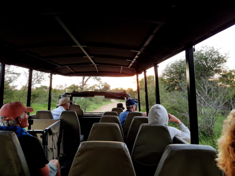 Rondreis van Johannesburg naar Kaapstad - Afrika-Op safari-Krügerpark