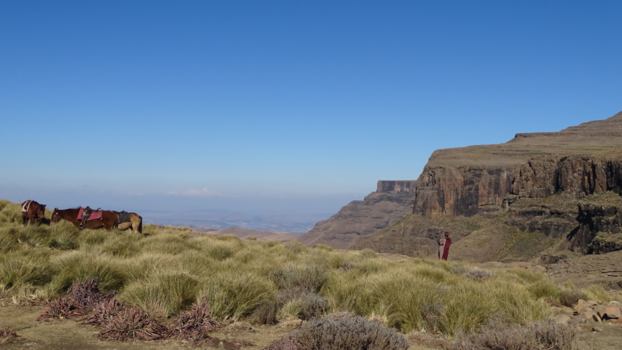 Rondreis van Johannesburg naar Kaapstad - Lonely at the top of the world