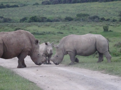 Rondreis van Johannesburg naar Kaapstad - Nooit ruzie maken waar de kleine bij is.