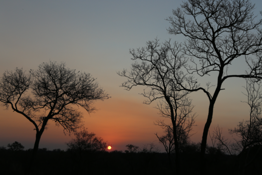 Mpumalanga - Zonsondergang in het prachtige Zuid-Afrika