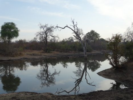Mpumalanga - Spiegeltje, spiegeltje...