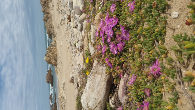 Rondreis Zuid-Afrika in drie weken - Zuid-Afrika