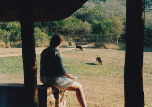 Rondreis van Johannesburg naar Kaapstad - Ithala