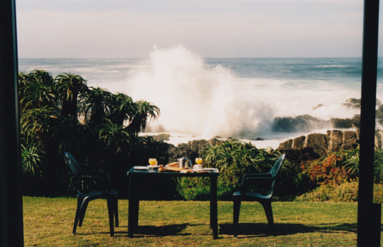 Rondreis van Johannesburg naar Kaapstad - Ontbijten in Tsitsikamma NP