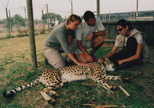 Rondreis van Johannesburg naar Kaapstad - Spier Estate