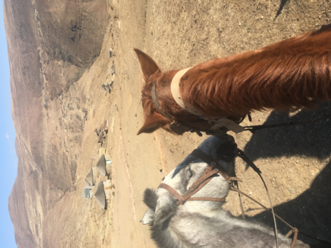 Lesotho - Love is everywhere