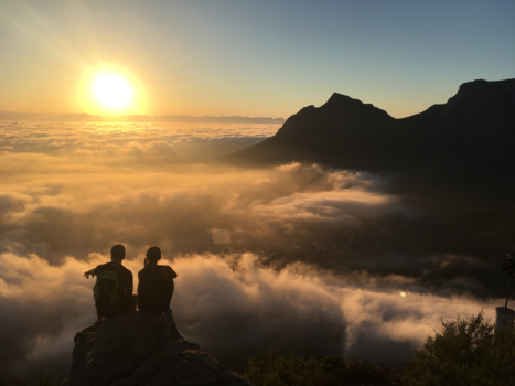 Kaapstad - Sunrise Lions head