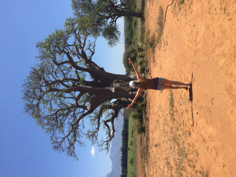 Hoedspruit - Tree of life