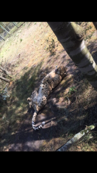 Rondreis van Johannesburg naar Kaapstad - Lekker rollebollen!!