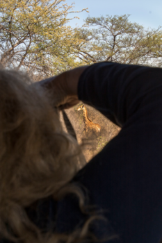 Rondreis van Johannesburg naar Kaapstad - Op safari en mooie plaatjes schieten