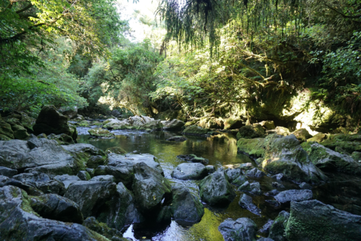 Rondreis Zuid-Afrika in drie weken - kleurijke natuur