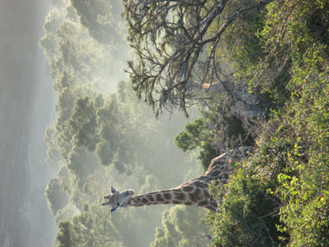Rondreis van Johannesburg naar Kaapstad - Verstoppertje