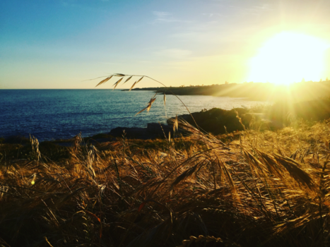 Hermanus - A new day will come