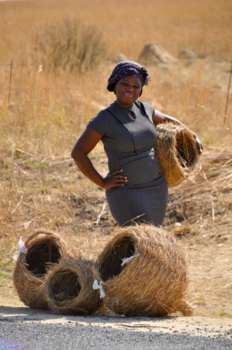 Rondreis Zuid-Afrika in drie weken - Eventjes poseren !