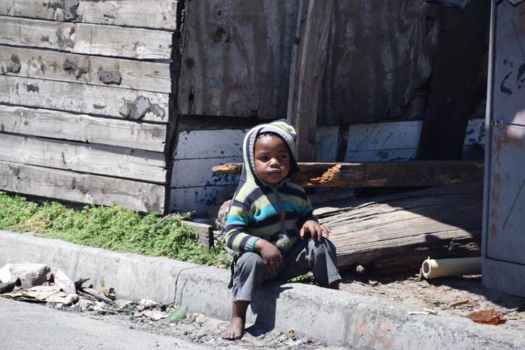 Rondreis van Johannesburg naar Kaapstad - Aandoenlijk ❤️