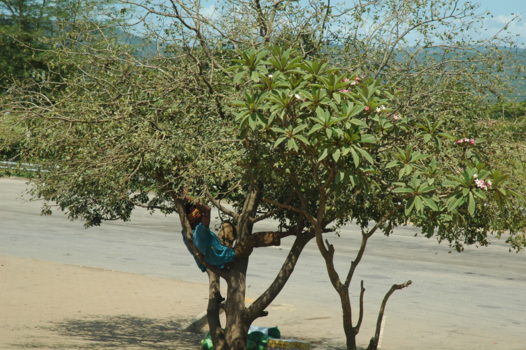 Rondreis van Johannesburg naar Kaapstad - Luie mensen tukken overal
