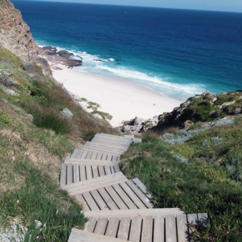 Kaapstad - Path to paradise