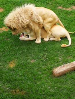 Rondreis van Johannesburg naar Kaapstad - Speciaal momentje samen!