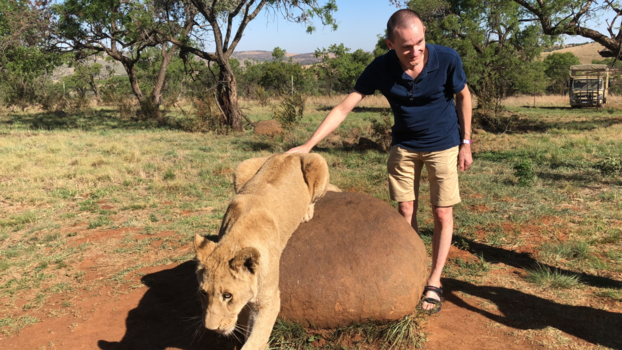 Limpopo - Hier bevoel ik (blind) een leeuw van 14 maanden.