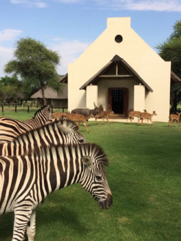 Rondreis Zuid-Afrika in drie weken - Relaxen in de natuur van afrika “Mongena game lodge”
